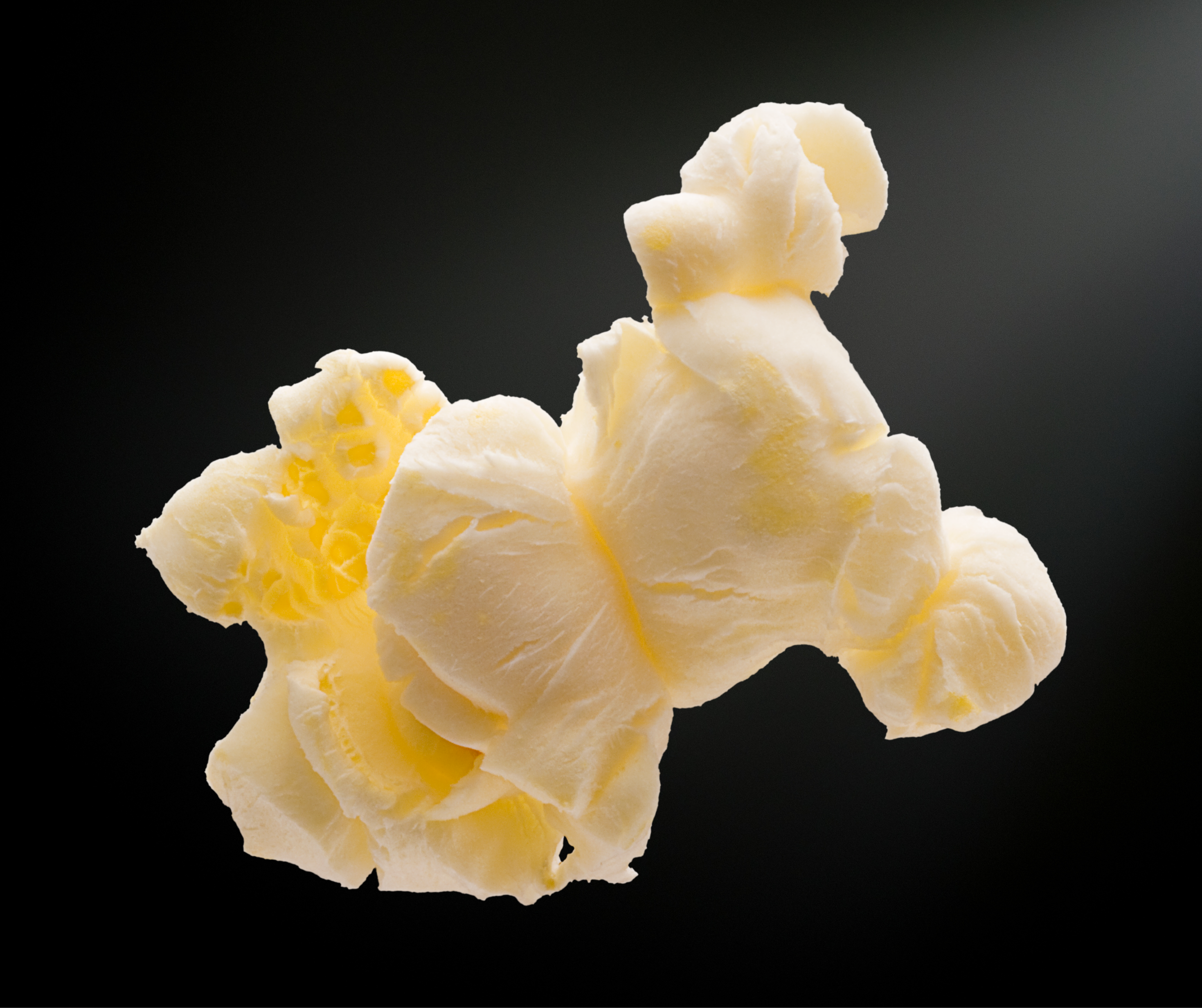 Butterfly Popcorn Kernel